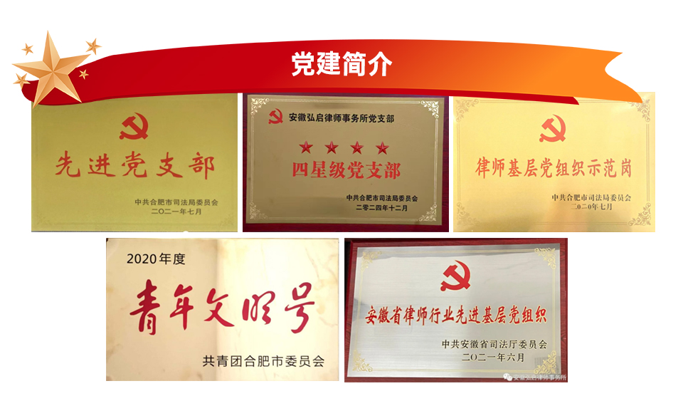 安徽弘启律师事务所党支部