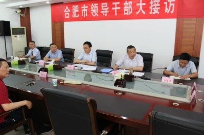 徐明锋律师陪同王民生副市长参加接访
